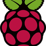 Raspberry logo
